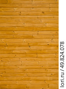 Fir planks with knots textured background . Стоковое фото, агентство Ingram Publishing / Фотобанк Лори