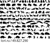 Big collection of different illustration vector animals. Стоковая иллюстрация, агентство Ingram Publishing / Фотобанк Лори