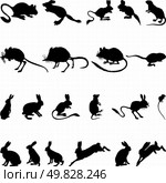 Collection of rodents silhouettes. Vector illustration. Стоковая иллюстрация, агентство Ingram Publishing / Фотобанк Лори