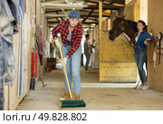 Female employee sweeps floors in stable corridor, cleans passage between stalls. Стоковое фото, фотограф Яков Филимонов / Фотобанк Лори