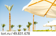 beach umbrellas against the blue sky. Стоковое фото, фотограф Igor Skripachev / Фотобанк Лори
