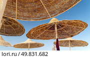 beach umbrellas against the blue sky. Стоковое фото, фотограф Igor Skripachev / Фотобанк Лори