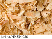 Background of the golden curls of wood shavings. Стоковое фото, агентство Ingram Publishing / Фотобанк Лори