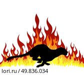 Puma silhouette with flame tongues. Vector illustration. Стоковая иллюстрация, агентство Ingram Publishing / Фотобанк Лори