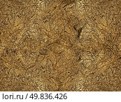 skin crackle texture. Стоковое фото, агентство Ingram Publishing / Фотобанк Лори