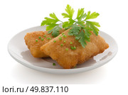 Rissole - Chicken and cheese rissole served with salad. Стоковое фото, агентство Ingram Publishing / Фотобанк Лори