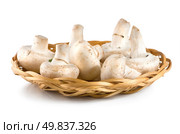 Basket with mushrooms isolated on white background. Стоковое фото, агентство Ingram Publishing / Фотобанк Лори