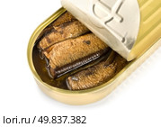 Canned sardines sea isolated on white background. Стоковое фото, агентство Ingram Publishing / Фотобанк Лори