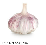 Raw garlic isolated on a white background. Стоковое фото, агентство Ingram Publishing / Фотобанк Лори