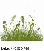 Summer meadow background. EPS 10 vector illustration with transparency and meshes. Стоковая иллюстрация, агентство Ingram Publishing / Фотобанк Лори