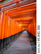 Thousands of vermilion torii gates at Fushimi Inari Taisha Shrine in Kyoto, Japan. Стоковое фото, агентство Ingram Publishing / Фотобанк Лори