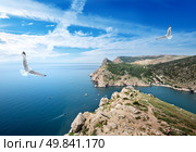 Two gulls over the sea and mountains. Стоковое фото, агентство Ingram Publishing / Фотобанк Лори