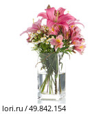 Beautiful pink lilies isolated on white background. Стоковое фото, агентство Ingram Publishing / Фотобанк Лори