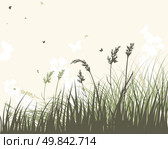 Summer meadow background. EPS 10 vector illustration without transparency and meshes. Стоковая иллюстрация, агентство Ingram Publishing / Фотобанк Лори