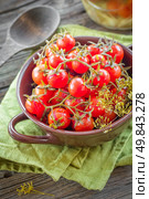 Canned tomatoes. Стоковое фото, агентство Ingram Publishing / Фотобанк Лори