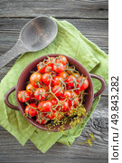 Canned tomatoes. Стоковое фото, агентство Ingram Publishing / Фотобанк Лори