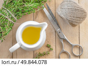 Thyme oil. Стоковое фото, агентство Ingram Publishing / Фотобанк Лори
