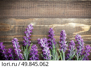 lavender. Стоковое фото, агентство Ingram Publishing / Фотобанк Лори