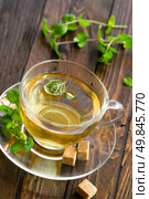 Mint tea. Стоковое фото, агентство Ingram Publishing / Фотобанк Лори