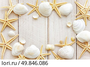Sea shells. Стоковое фото, агентство Ingram Publishing / Фотобанк Лори