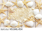 Sea shells. Стоковое фото, агентство Ingram Publishing / Фотобанк Лори