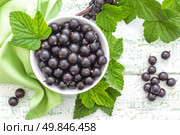 Blackcurrant. Стоковое фото, агентство Ingram Publishing / Фотобанк Лори