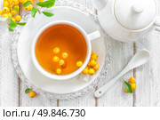 Hawthorn tea. Стоковое фото, агентство Ingram Publishing / Фотобанк Лори