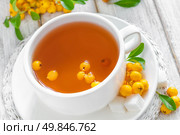 Hawthorn tea. Стоковое фото, агентство Ingram Publishing / Фотобанк Лори