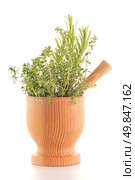 Green herb leafs sprigs in an wood mortar over white background. Стоковое фото, агентство Ingram Publishing / Фотобанк Лори