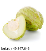 Chayote also known as chow chow and Chu Chu isolated on white. Стоковое фото, агентство Ingram Publishing / Фотобанк Лори
