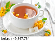 Hawthorn tea. Стоковое фото, агентство Ingram Publishing / Фотобанк Лори