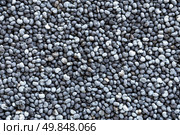 Poppy seeds background. Стоковое фото, агентство Ingram Publishing / Фотобанк Лори