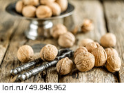 Walnuts. Стоковое фото, агентство Ingram Publishing / Фотобанк Лори