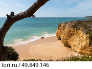 Golden beaches and sandstone cliffs near Albufeira, South Portugal. Стоковое фото, агентство Ingram Publishing / Фотобанк Лори