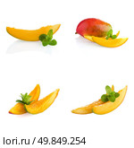 Set of mango fruit on white reflective background. Стоковое фото, агентство Ingram Publishing / Фотобанк Лори