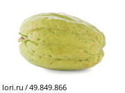 Chayote also known as chow chow and Chu Chu isolated on white. Стоковое фото, агентство Ingram Publishing / Фотобанк Лори