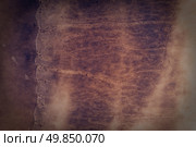Aged paper texture with stains texture background. Стоковое фото, агентство Ingram Publishing / Фотобанк Лори