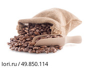 Pinto beans bag with wooden scoop on white background. Стоковое фото, агентство Ingram Publishing / Фотобанк Лори