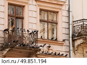 old window and a balcony with pigeons. close-up. Стоковое фото, агентство Ingram Publishing / Фотобанк Лори