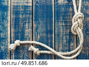 Marine knot. Стоковое фото, агентство Ingram Publishing / Фотобанк Лори
