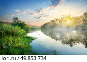 Green reeds by the river in the morning. Стоковое фото, агентство Ingram Publishing / Фотобанк Лори