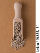 Top view of wooden scoop with shelled sunflower seeds against brown vinyl background. Стоковое фото, агентство Ingram Publishing / Фотобанк Лори