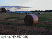 Осеннее поле. Стоковое фото, фотограф Андрей Конев / Фотобанк Лори