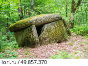 Дольмен в верховьях аула Большое Псеушхо. Стоковое фото, фотограф Алексей Букреев / Фотобанк Лори
