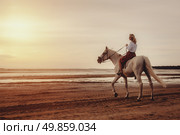 White Horse Gallops Along the Beach With a Woman at Sunset. Стоковое фото, фотограф Aleksandr Golubev / Фотобанк Лори