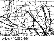 Texture of prickly wires. Element of design. Стоковое фото, агентство Ingram Publishing / Фотобанк Лори