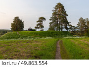Rural summer landscape with an ancient Orthodox chapel. Savkina gorka. Стоковое фото, фотограф EugeneSergeev / Фотобанк Лори