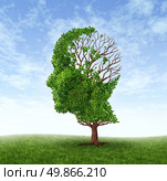 Brain disease as function loss and dealing With dementia and Alzheimer’s disease as a medical icon of a tree in the shape of a human head and brain with lost leaves as challenges in intelligence and memory. Стоковое фото, агентство Ingram Publishing / Фотобанк Лори