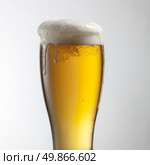 Beer in glass isolated on white background. Beer in glass isolated on white. Стоковое фото, агентство Ingram Publishing / Фотобанк Лори