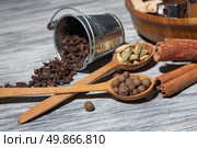 Cardamon, clove and pepper in spoons on wooden background with various spices - cinnamon, ginger and nutmeg. Стоковое фото, агентство Ingram Publishing / Фотобанк Лори